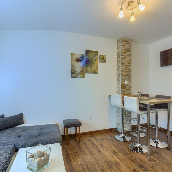 Dnevni boravak, Apartment house Miljkovica, Apartmani Miljkovica i Virić, otok Vir Vir