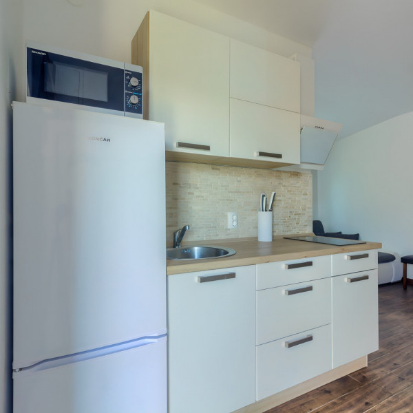 Kitchen, Apartment house Miljkovica, Apartments Miljkovica & Viric, Vir island, Croatia Vir