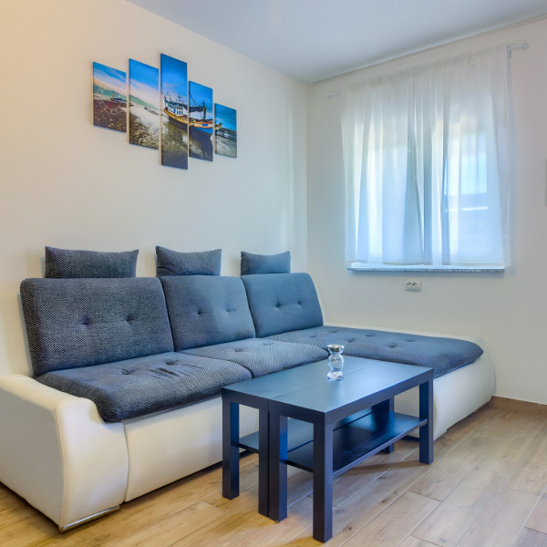 Dnevni boravak, Apartment house Miljkovica, Apartmani Miljkovica i Virić, otok Vir Vir