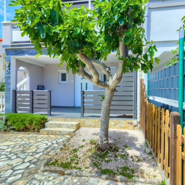 Apartment house Miljkovica, Apartments Miljkovica & Viric, Vir island, Croatia Vir