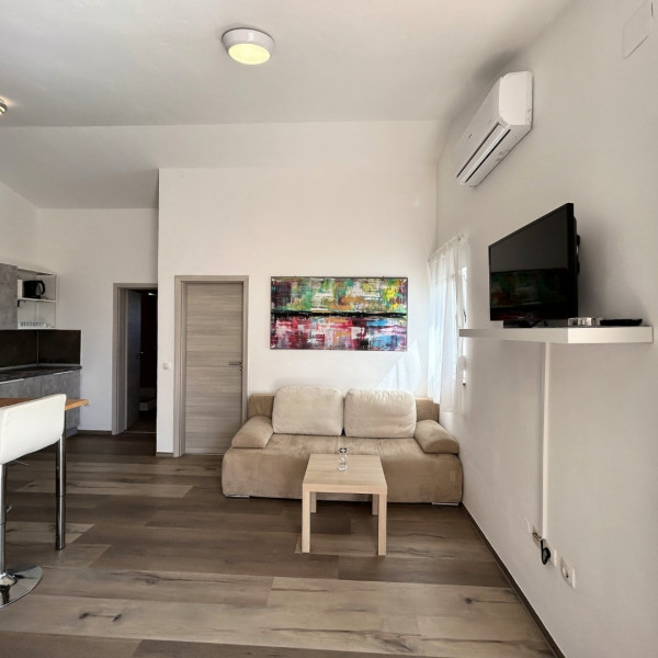 Living room, Apartment house Virić, Apartments Miljkovica & Viric, Vir island, Croatia Vir