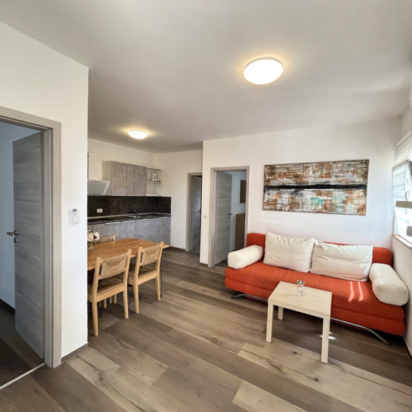 Living room, Apartment house Virić, Apartments Miljkovica & Viric, Vir island, Croatia Vir