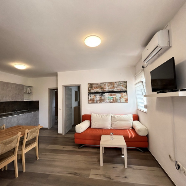 Living room, Apartment house Virić, Apartments Miljkovica & Viric, Vir island, Croatia Vir